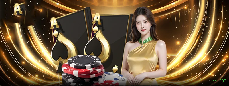 Experiência VIP bet585
